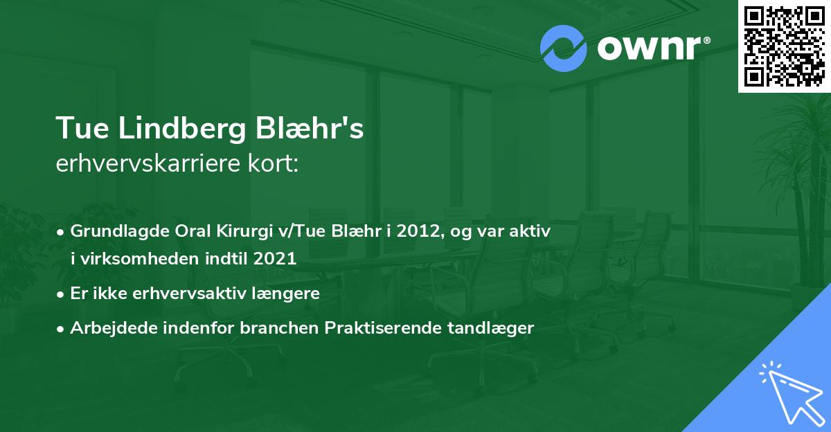 Tue Lindberg Blæhr's erhvervskarriere kort