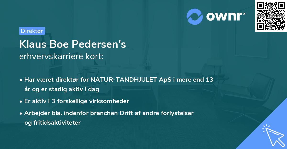 Klaus Boe Pedersen's erhvervskarriere kort