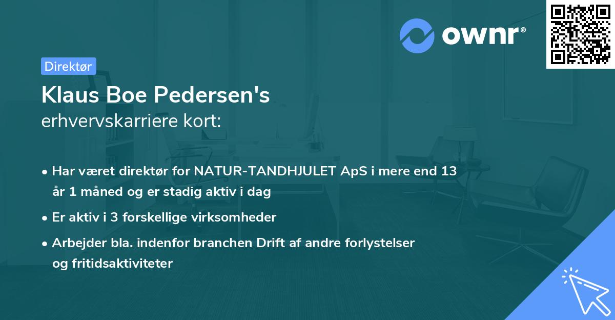 Klaus Boe Pedersen's erhvervskarriere kort