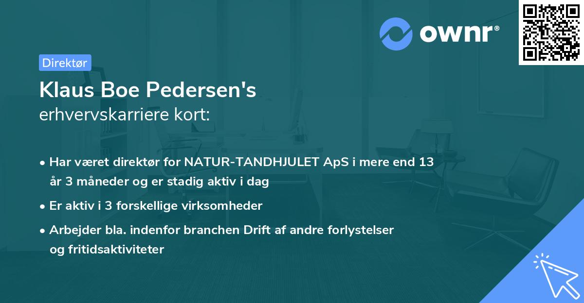 Klaus Boe Pedersen's erhvervskarriere kort