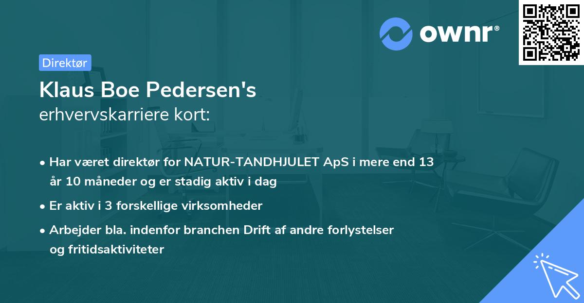 Klaus Boe Pedersen's erhvervskarriere kort
