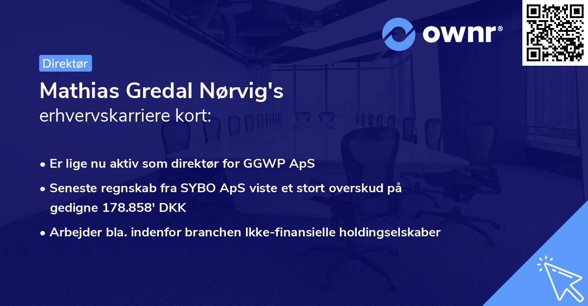 Mathias Gredal Nørvig's erhvervskarriere kort