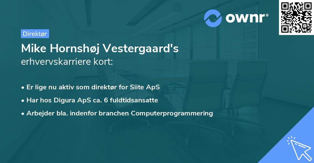 Mike Hornshøj Vestergaard's erhvervskarriere kort