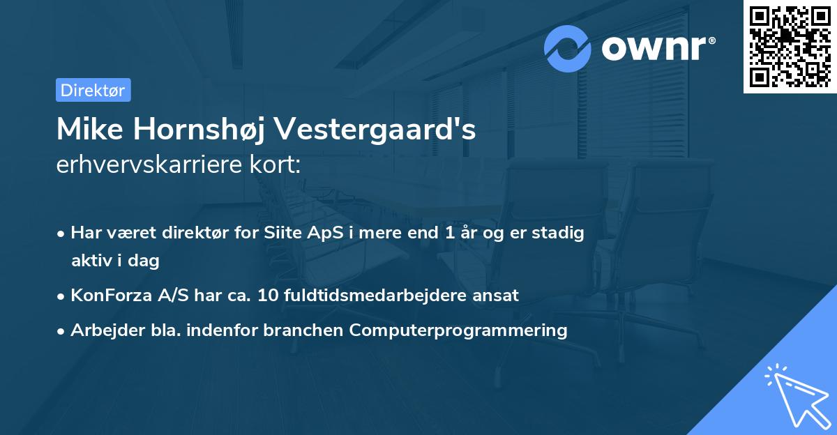 Mike Hornshøj Vestergaard's erhvervskarriere kort