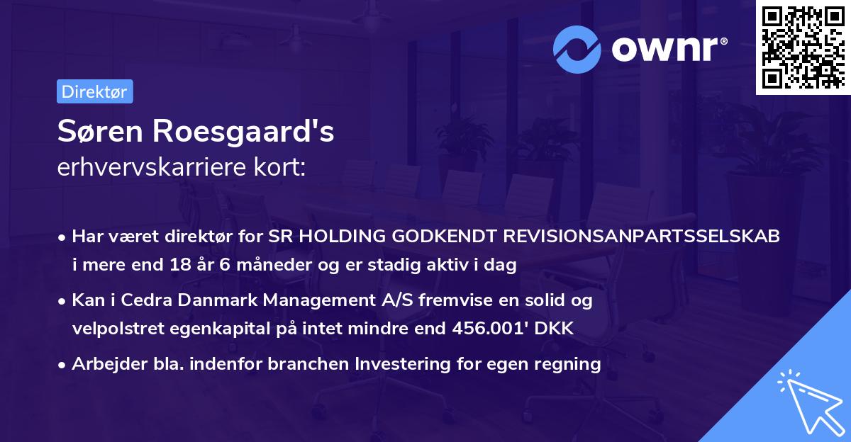 Søren Roesgaard's erhvervskarriere kort