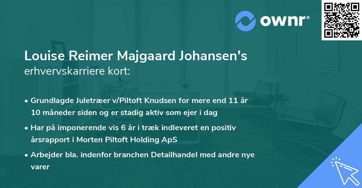 Louise Reimer Majgaard Johansen's erhvervskarriere kort