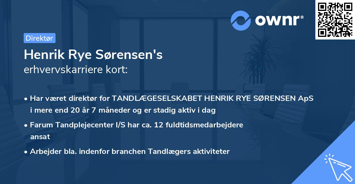 Henrik Rye Sørensen's erhvervskarriere kort