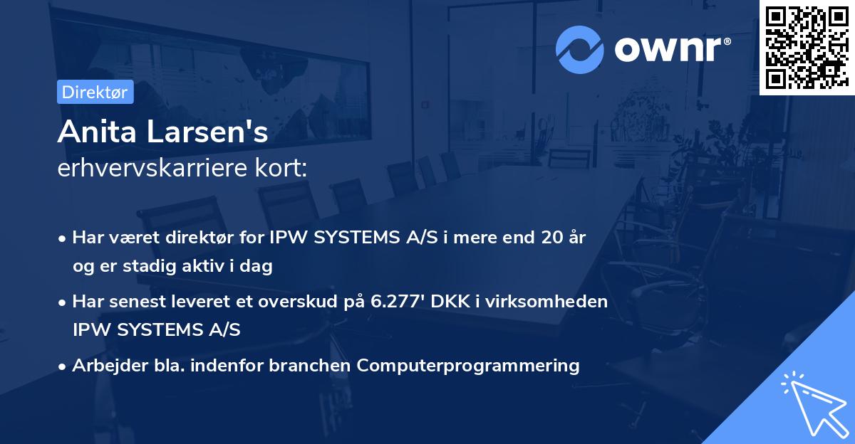 Anita Larsen's erhvervskarriere kort