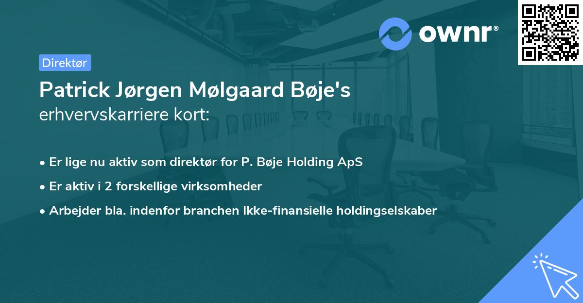 Patrick Jørgen Mølgaard Bøje's erhvervskarriere kort