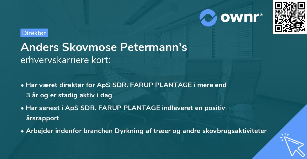 Anders Skovmose Petermann's erhvervskarriere kort