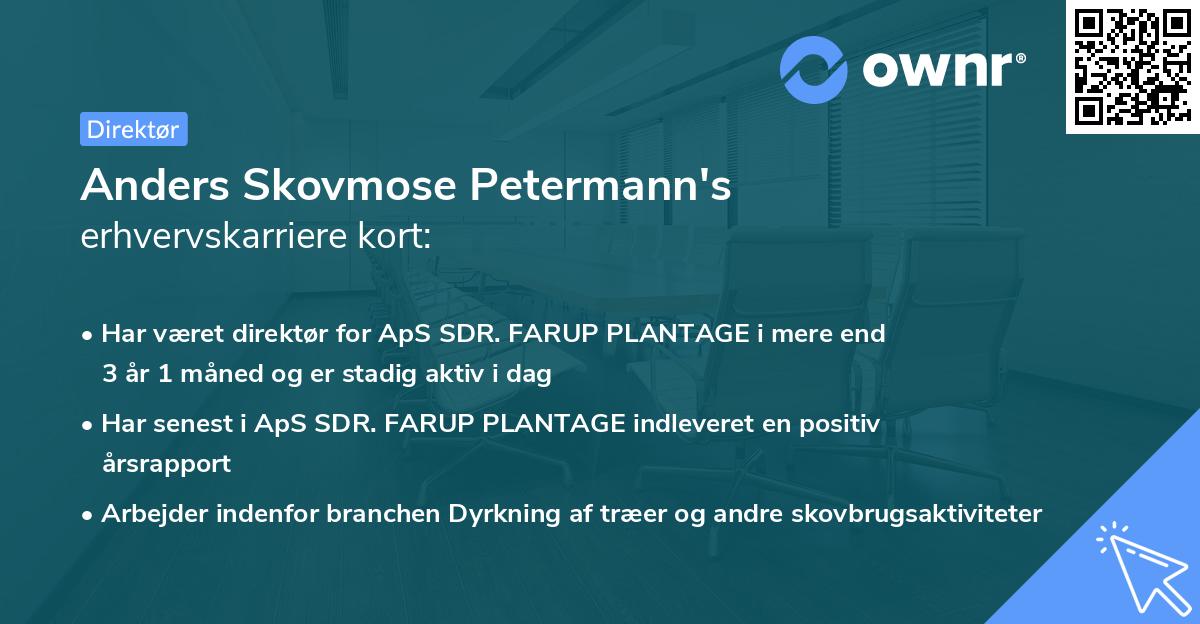 Anders Skovmose Petermann's erhvervskarriere kort