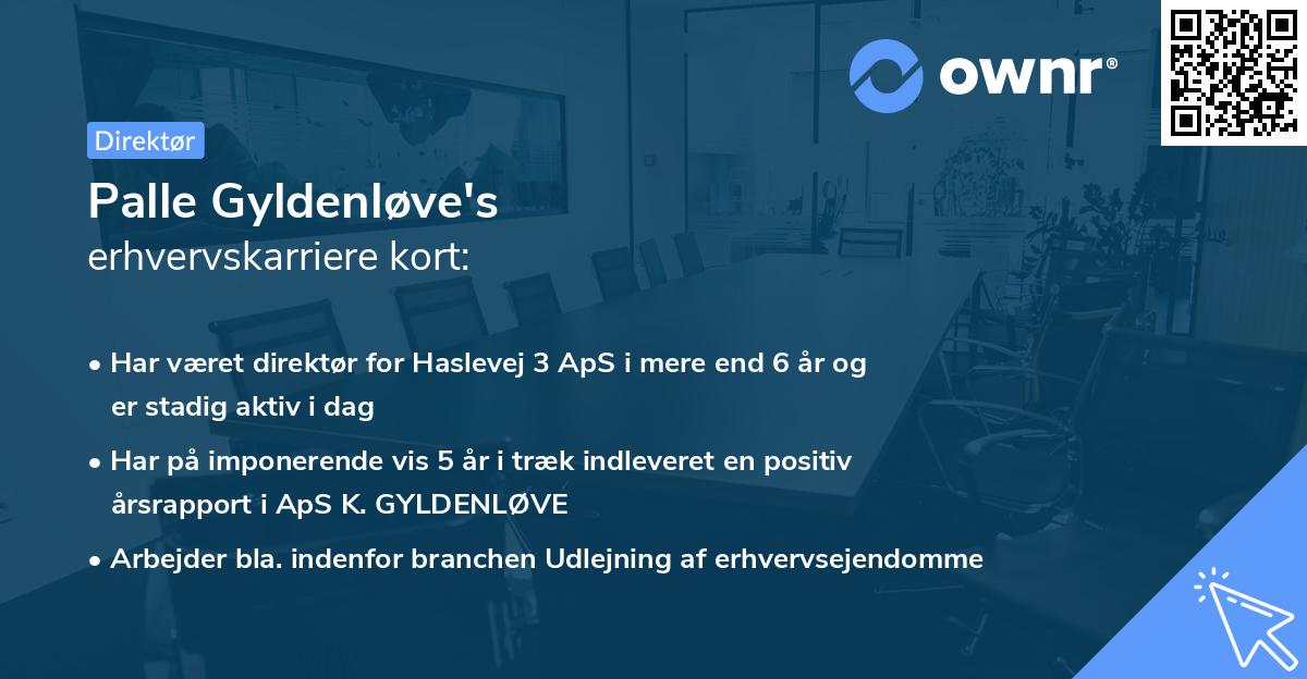 Palle Gyldenløve's erhvervskarriere kort