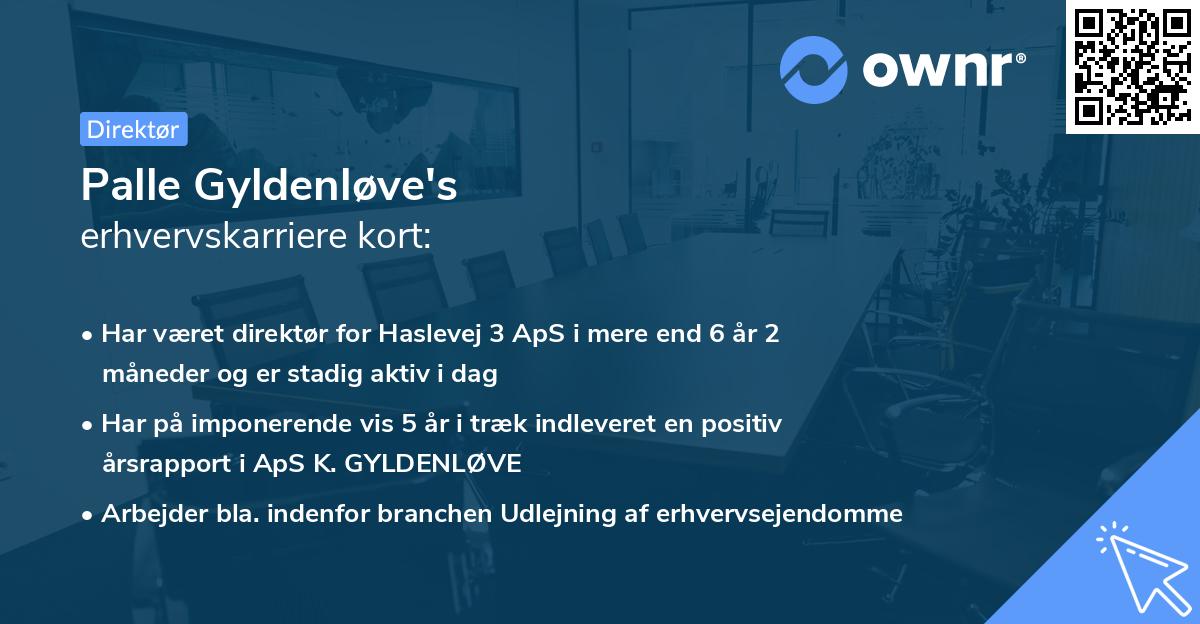 Palle Gyldenløve's erhvervskarriere kort