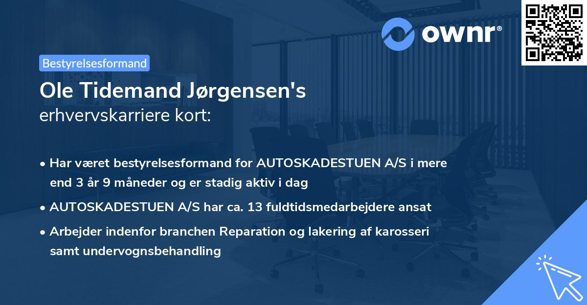 Ole Tidemand Jørgensen's erhvervskarriere kort