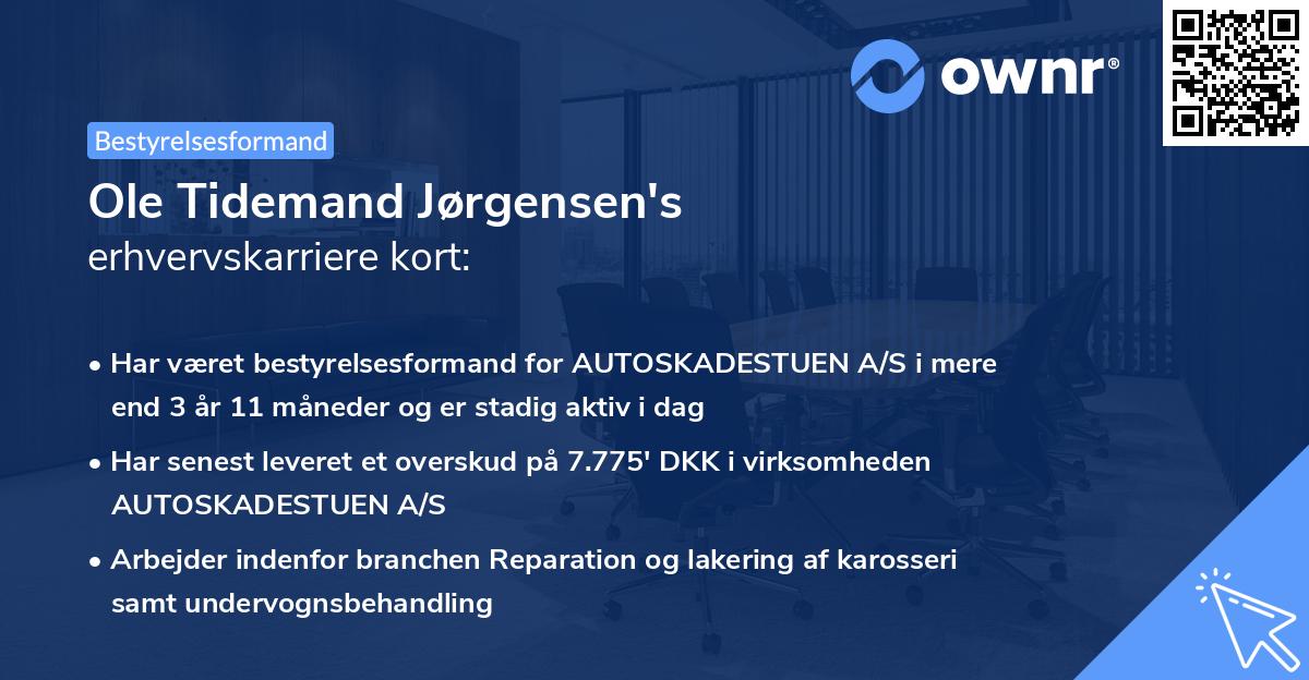 Ole Tidemand Jørgensen's erhvervskarriere kort