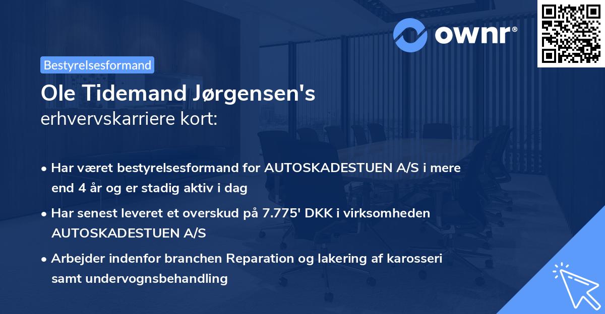 Ole Tidemand Jørgensen's erhvervskarriere kort
