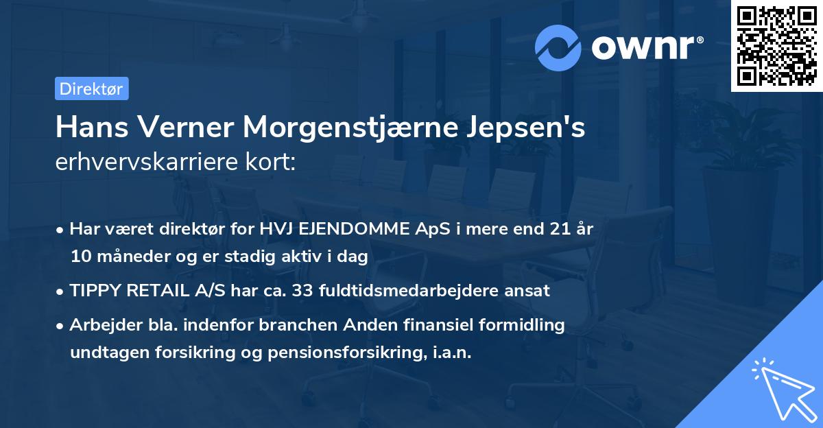 Hans Verner Morgenstjærne Jepsen's erhvervskarriere kort