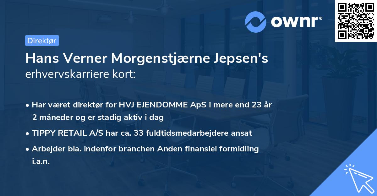 Hans Verner Morgenstjærne Jepsen's erhvervskarriere kort