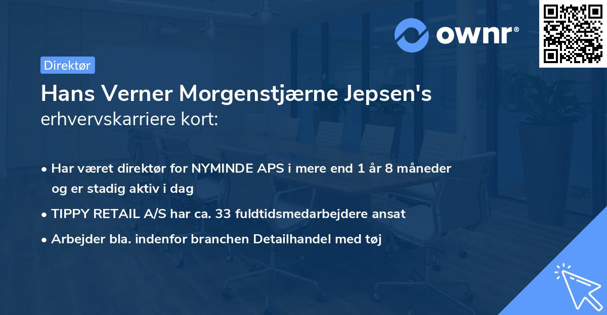 Hans Verner Morgenstjærne Jepsen's erhvervskarriere kort