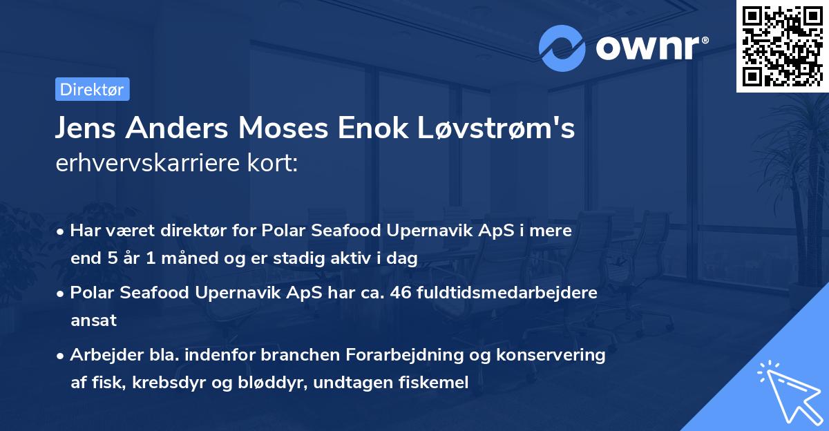 Jens Anders Moses Enok Løvstrøm's erhvervskarriere kort