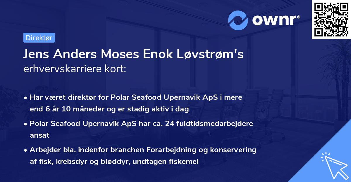 Jens Anders Moses Enok Løvstrøm's erhvervskarriere kort