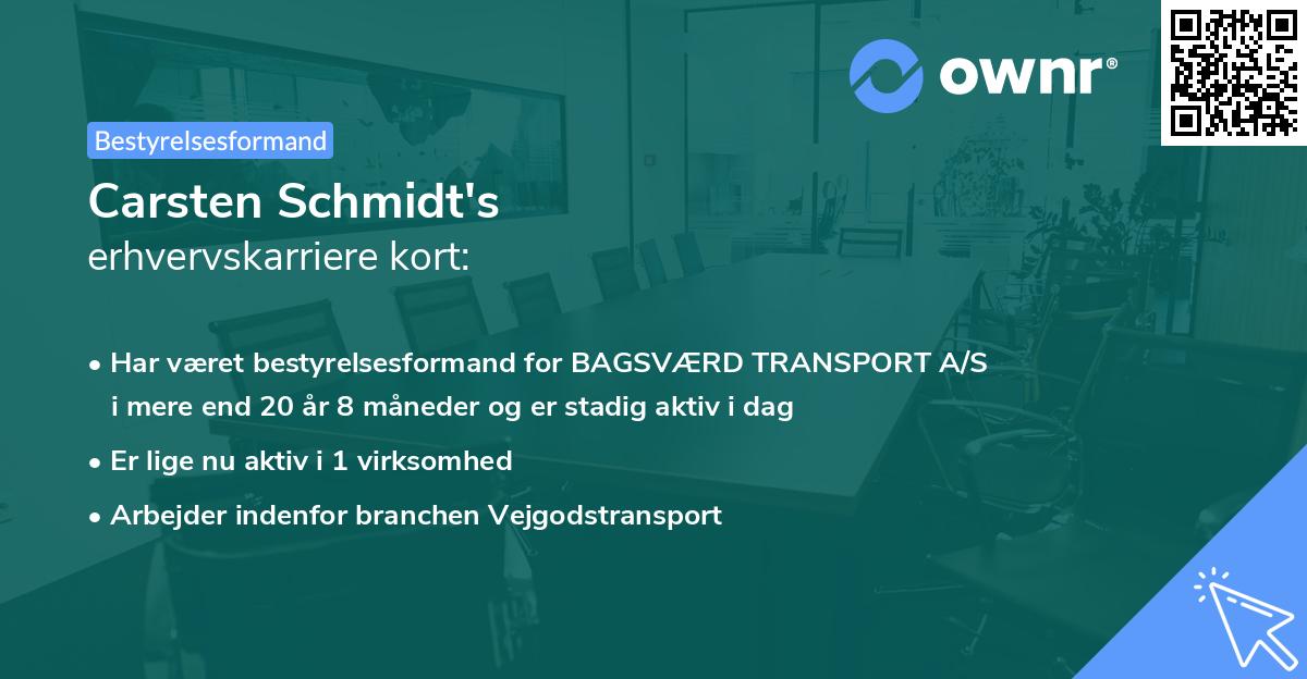 Carsten Schmidt's erhvervskarriere kort