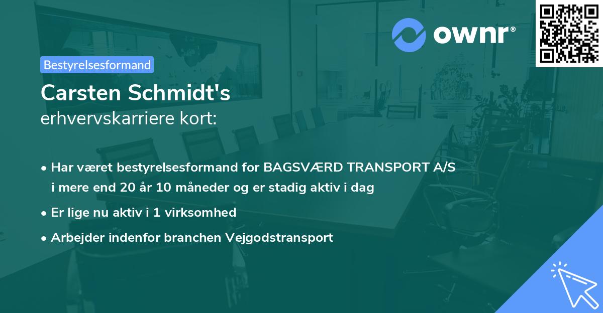 Carsten Schmidt's erhvervskarriere kort