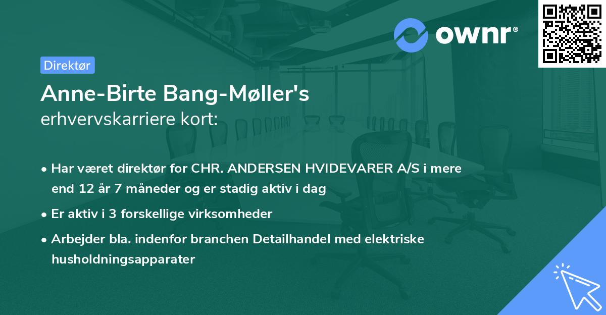 Anne-Birte Bang-Møller's erhvervskarriere kort
