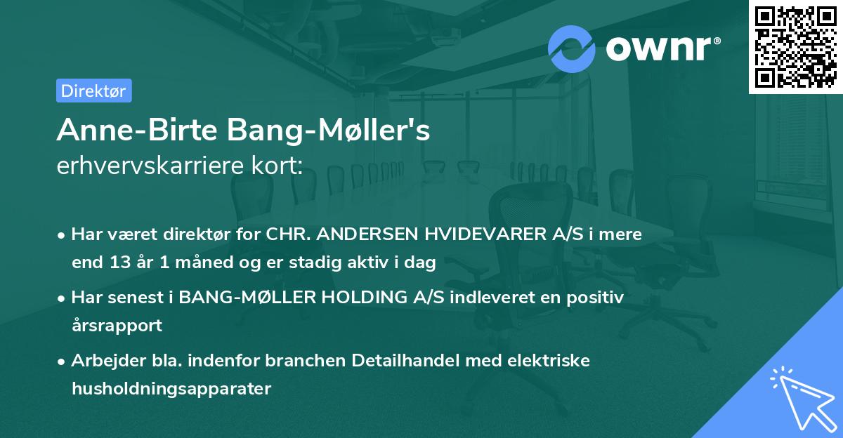 Anne-Birte Bang-Møller's erhvervskarriere kort