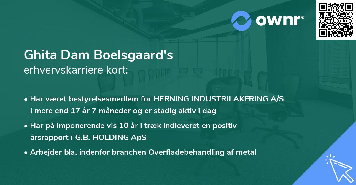 Ghita Dam Boelsgaard's erhvervskarriere kort