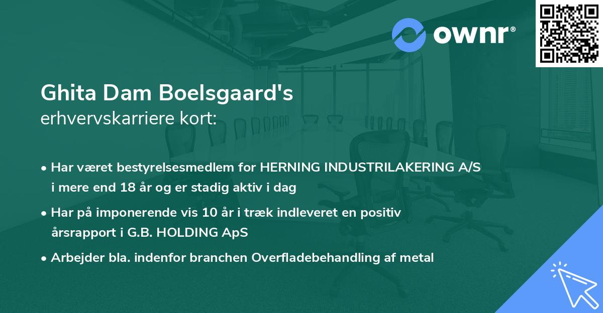 Ghita Dam Boelsgaard's erhvervskarriere kort