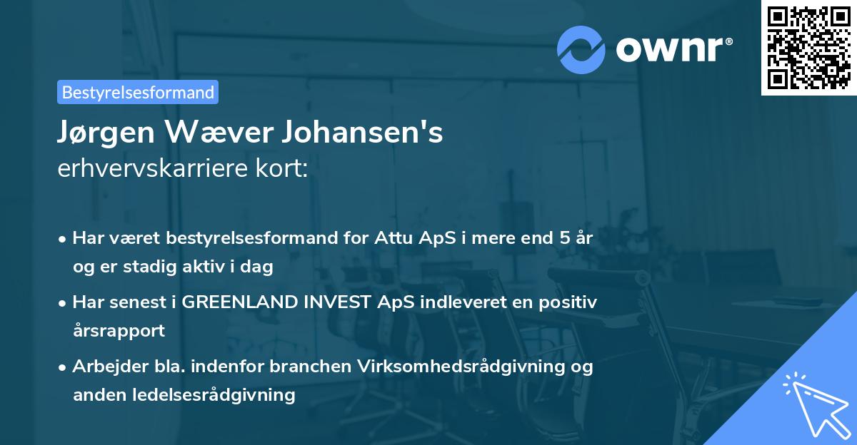 Jørgen Wæver Johansen's erhvervskarriere kort