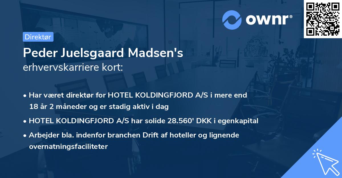 Peder Juelsgaard Madsen's erhvervskarriere kort