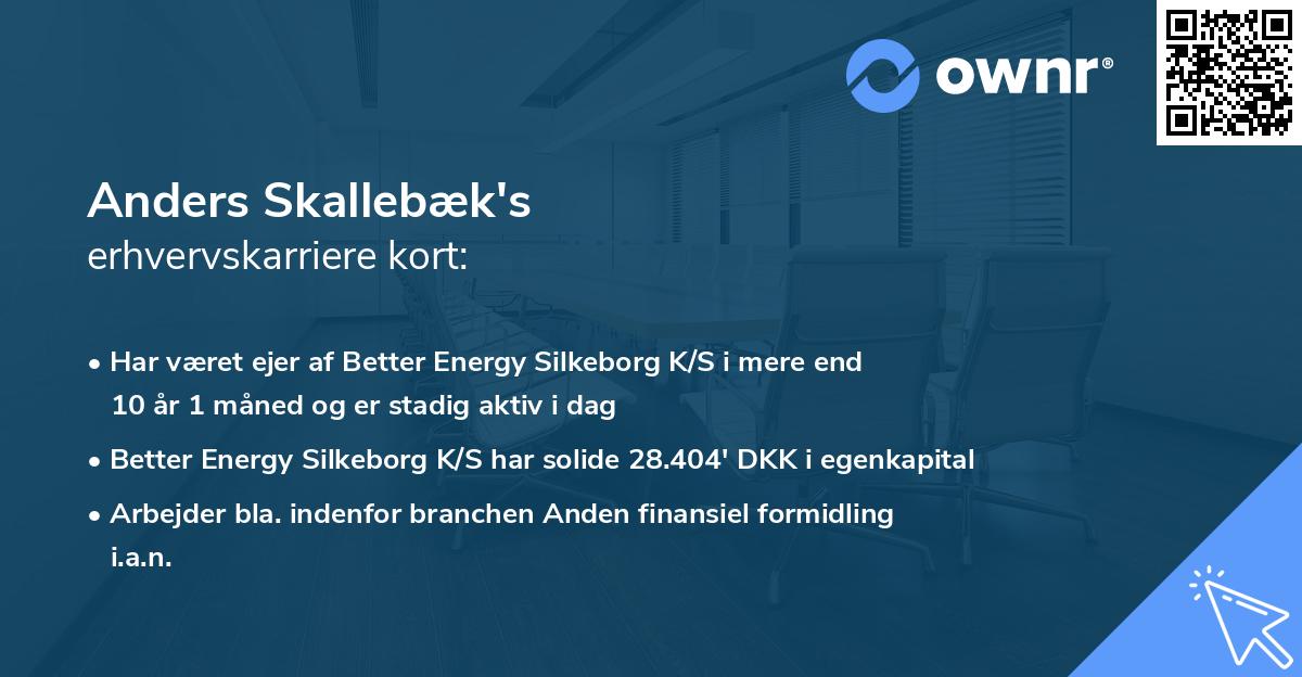 Anders Skallebæk's erhvervskarriere kort