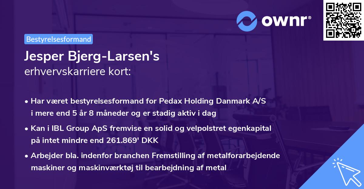 Jesper Bjerg-Larsen's erhvervskarriere kort