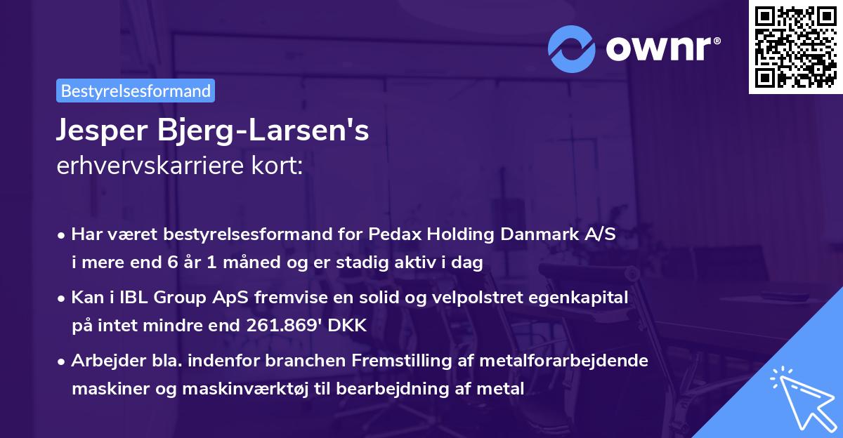 Jesper Bjerg-Larsen's erhvervskarriere kort