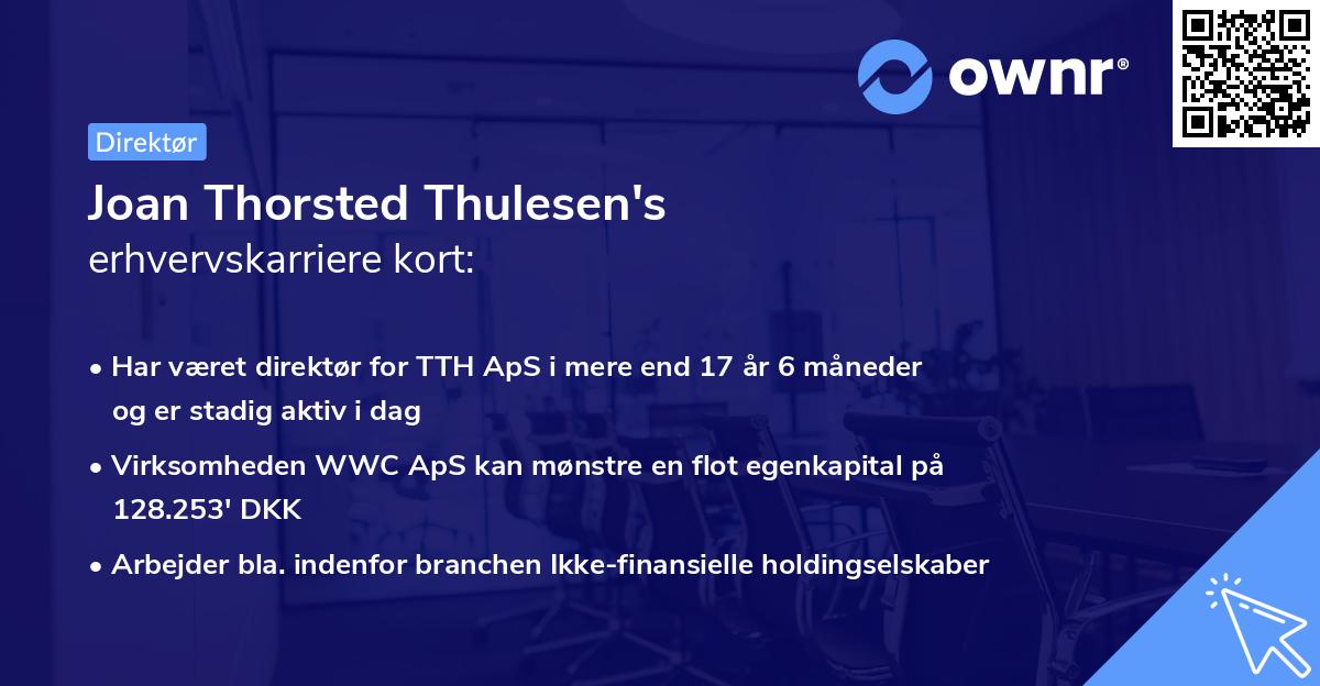 Joan Thorsted Thulesen's erhvervskarriere kort