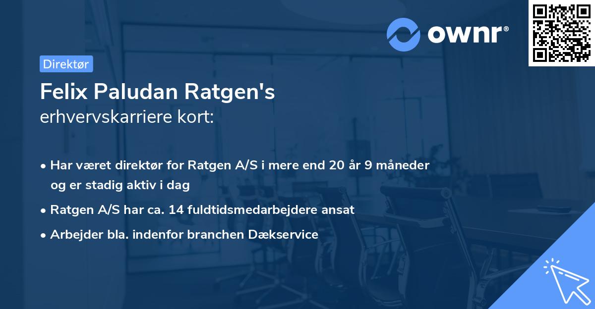 Felix Paludan Ratgen's erhvervskarriere kort