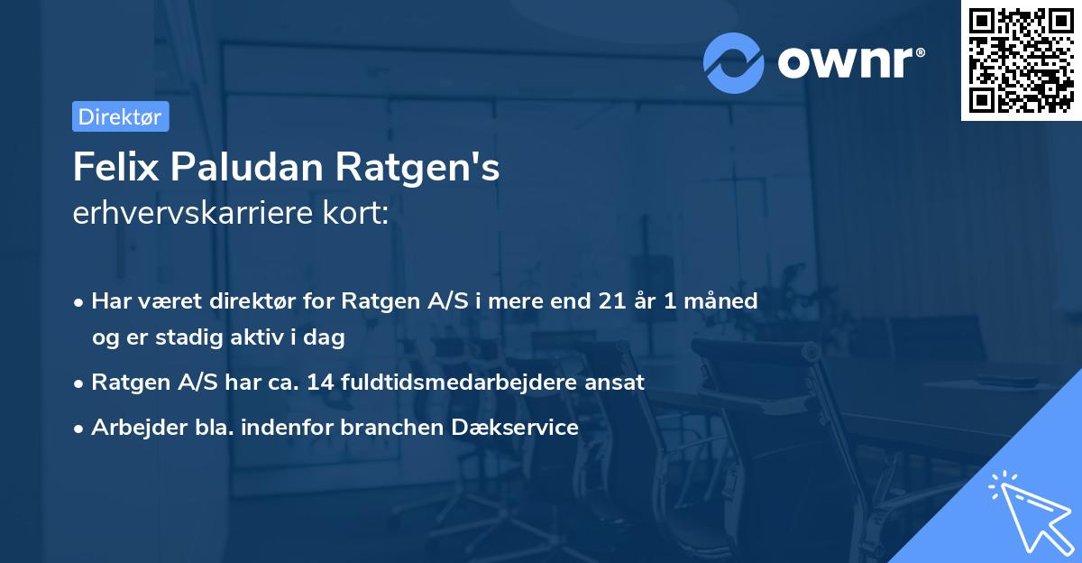 Felix Paludan Ratgen's erhvervskarriere kort
