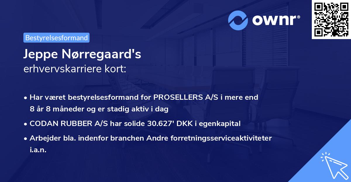 Jeppe Nørregaard's erhvervskarriere kort