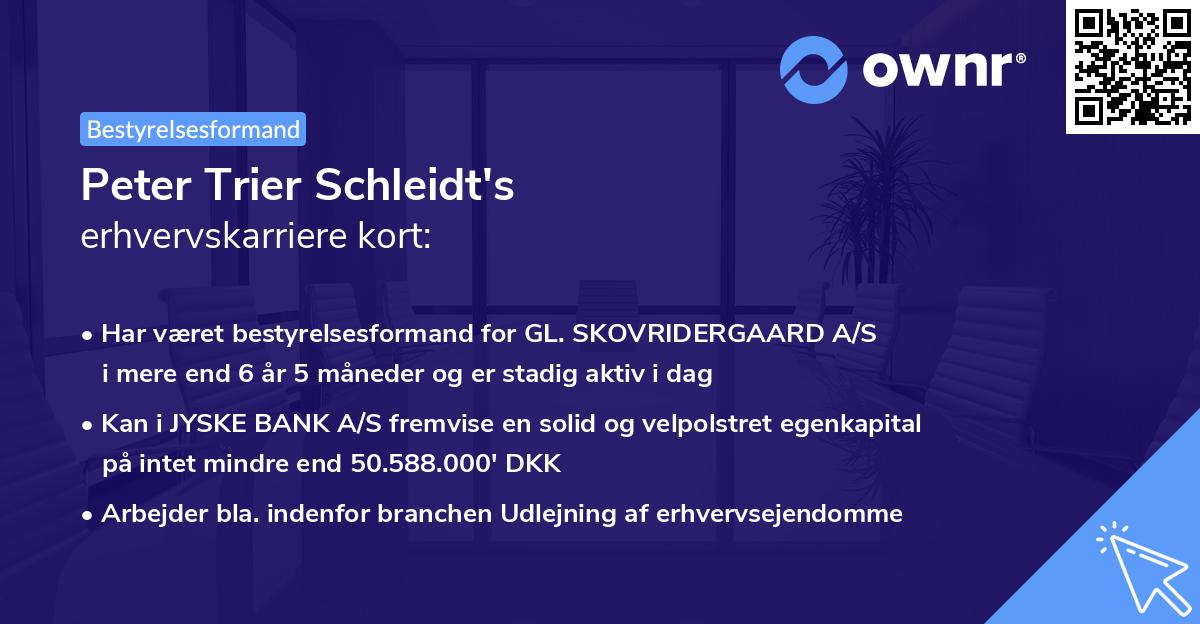 Peter Trier Schleidt's erhvervskarriere kort