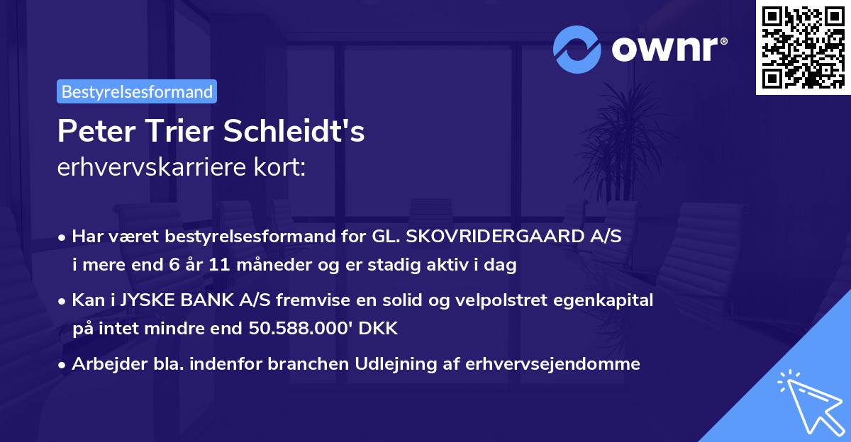 Peter Trier Schleidt's erhvervskarriere kort