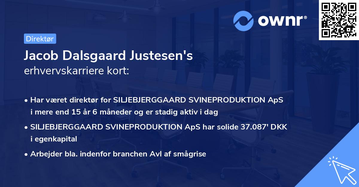 Jacob Dalsgaard Justesen's erhvervskarriere kort