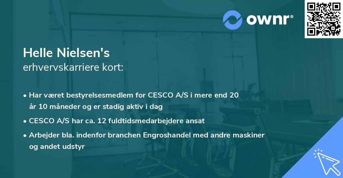 Helle Nielsen's erhvervskarriere kort