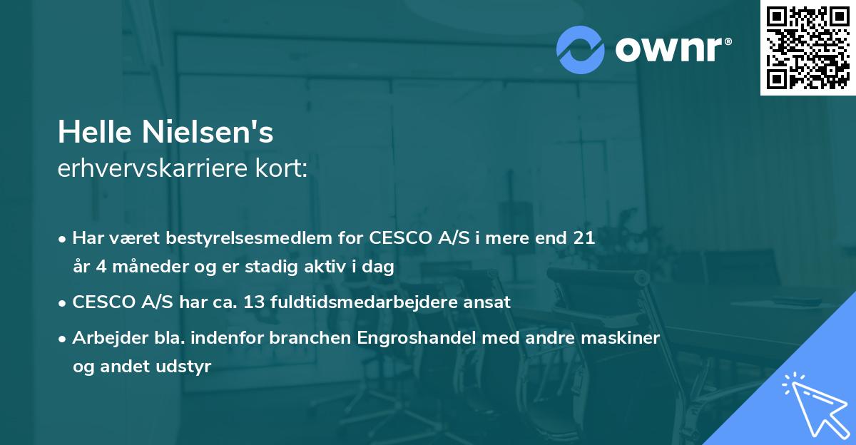 Helle Nielsen's erhvervskarriere kort