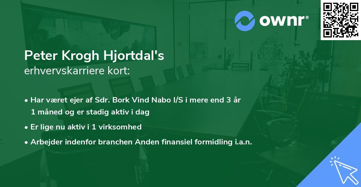 Peter Krogh Hjortdal's erhvervskarriere kort