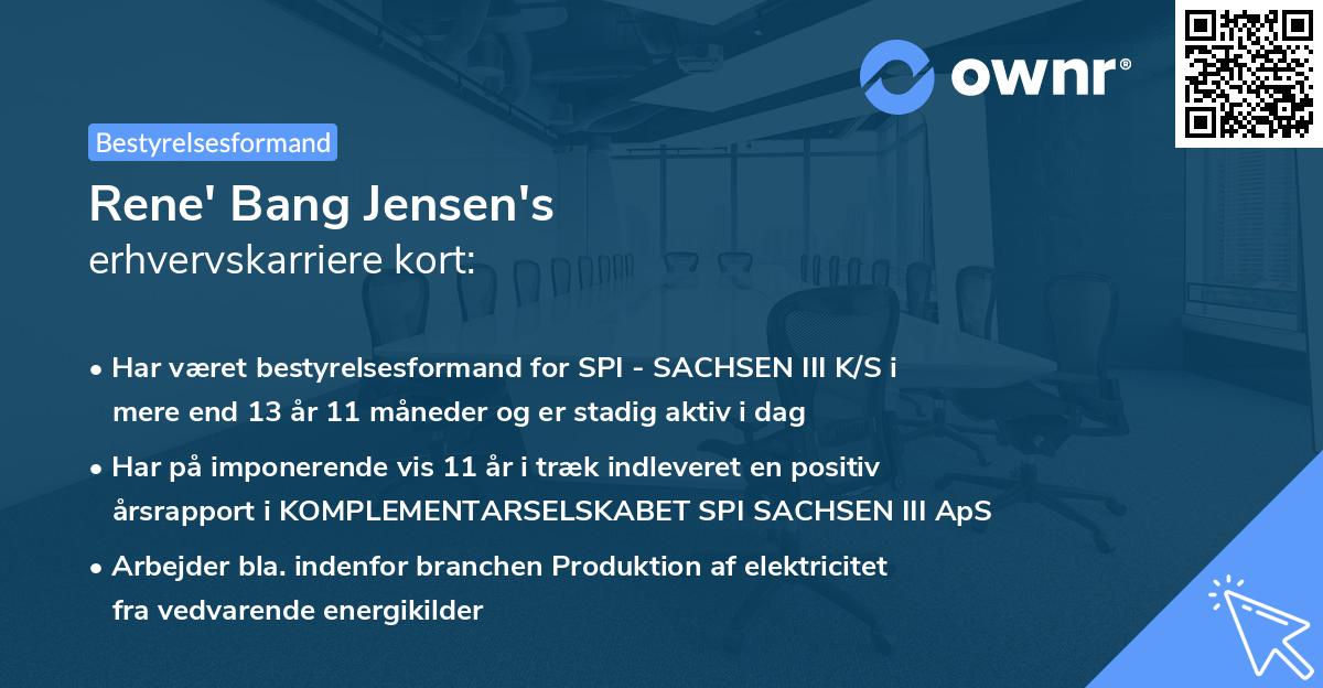 Rene' Bang Jensen's erhvervskarriere kort
