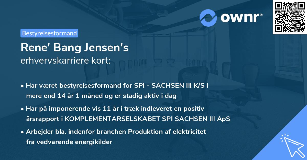 Rene' Bang Jensen's erhvervskarriere kort