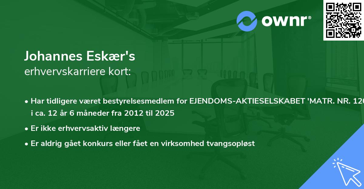 Johannes Eskær's erhvervskarriere kort