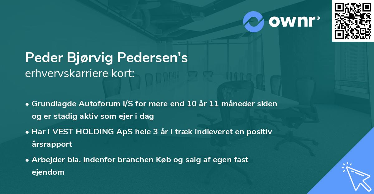 Peder Bjørvig Pedersen's erhvervskarriere kort